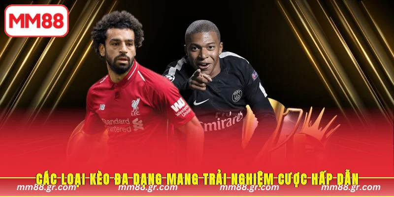 Các loại kèo đa dạng mang trải nghiệm cược hấp dẫn