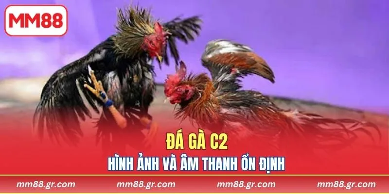 Hình ảnh và âm thanh ổn định, theo dõi liên tục dễ dàng