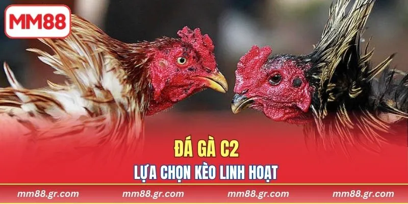 Lựa chọn kèo linh hoạt, tăng cơ hội thắng cược chính xác