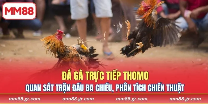Quan sát trận đấu đa chiều, phân tích chiến thuật chính xác