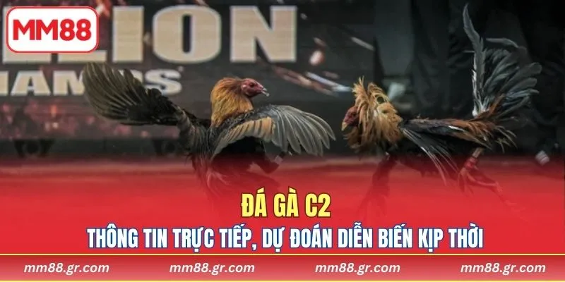 Thông tin trực tiếp, dự đoán diễn biến kịp thời chuẩn xác