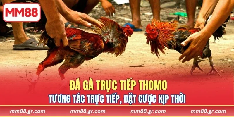Tương tác trực tiếp, đặt cược kịp thời theo diễn biến trận đấu